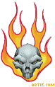 arg-flamin-skull-whitebg-50-url.gif