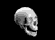 s_skulls14.gif