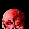 skull1.gif