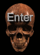 skull120.gif