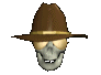 skull19.gif
