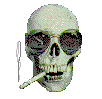 skull2.gif