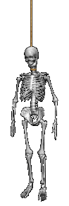 skull27.gif
