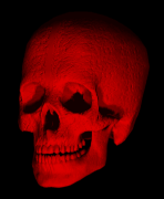 skull67.gif