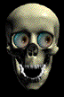 skull71.gif