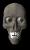 skull81.gif