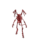 skull82.gif