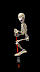 skull88.gif