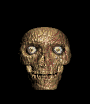 skulls8.gif