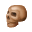tn_skull_430.gif